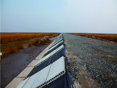 Ecological control & bird habitat optimization project f